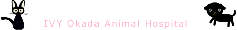 アイヴィ岡田動物病院