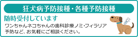 狂犬病予防接種・各種予防接種